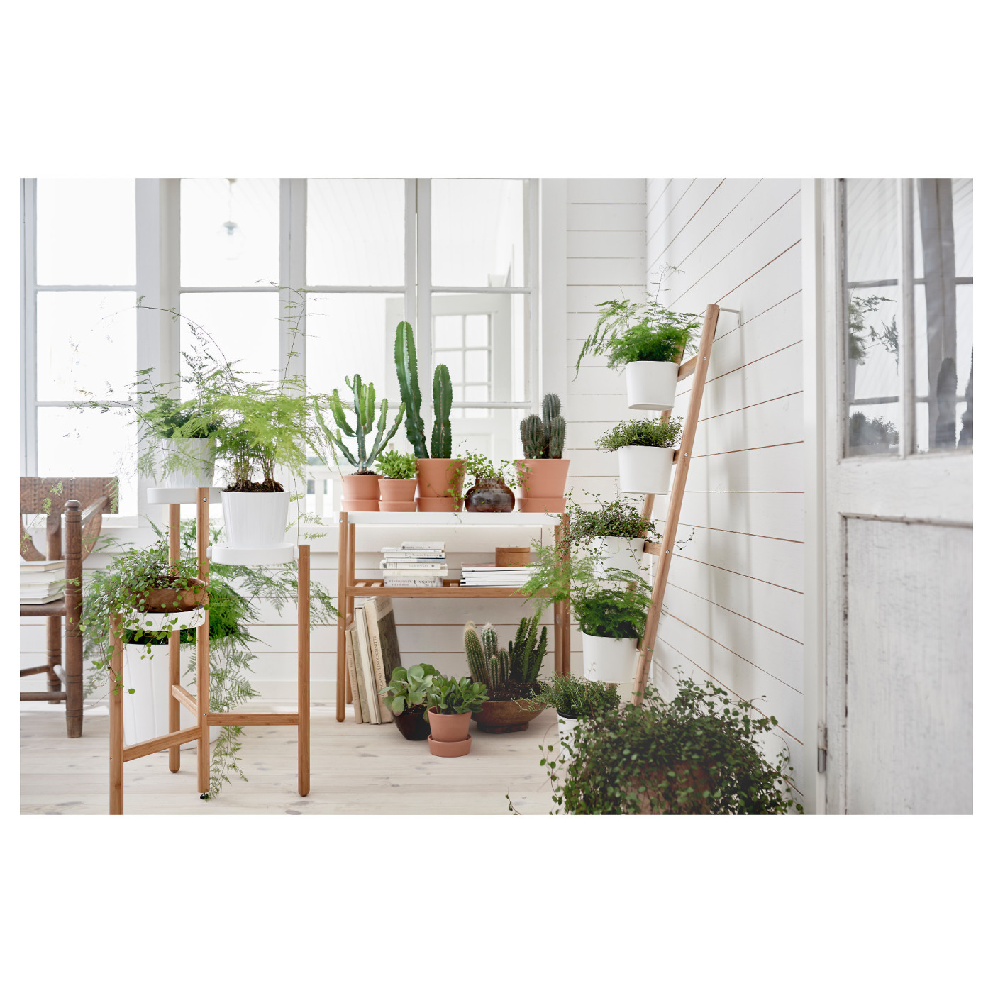 DRAW A LINE Moving Planter Rack Set ホワイト SATSUMAS plant stand with 5 plant pots bamboo/white - IKEA