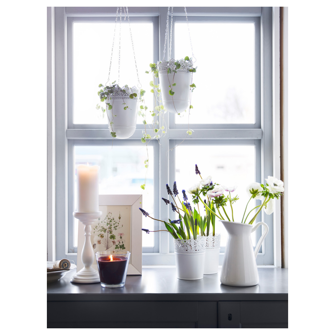 ins-image