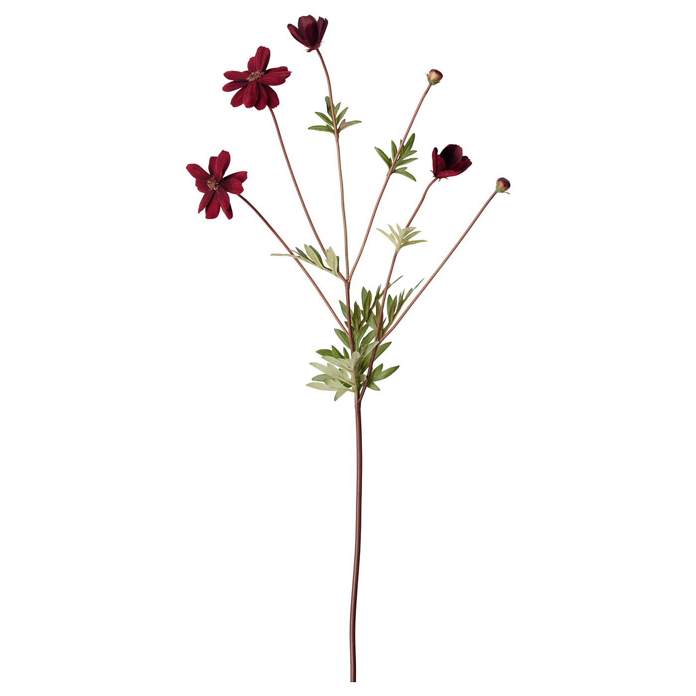SMYCKA artificial flower cosmos/dark red - IKEA