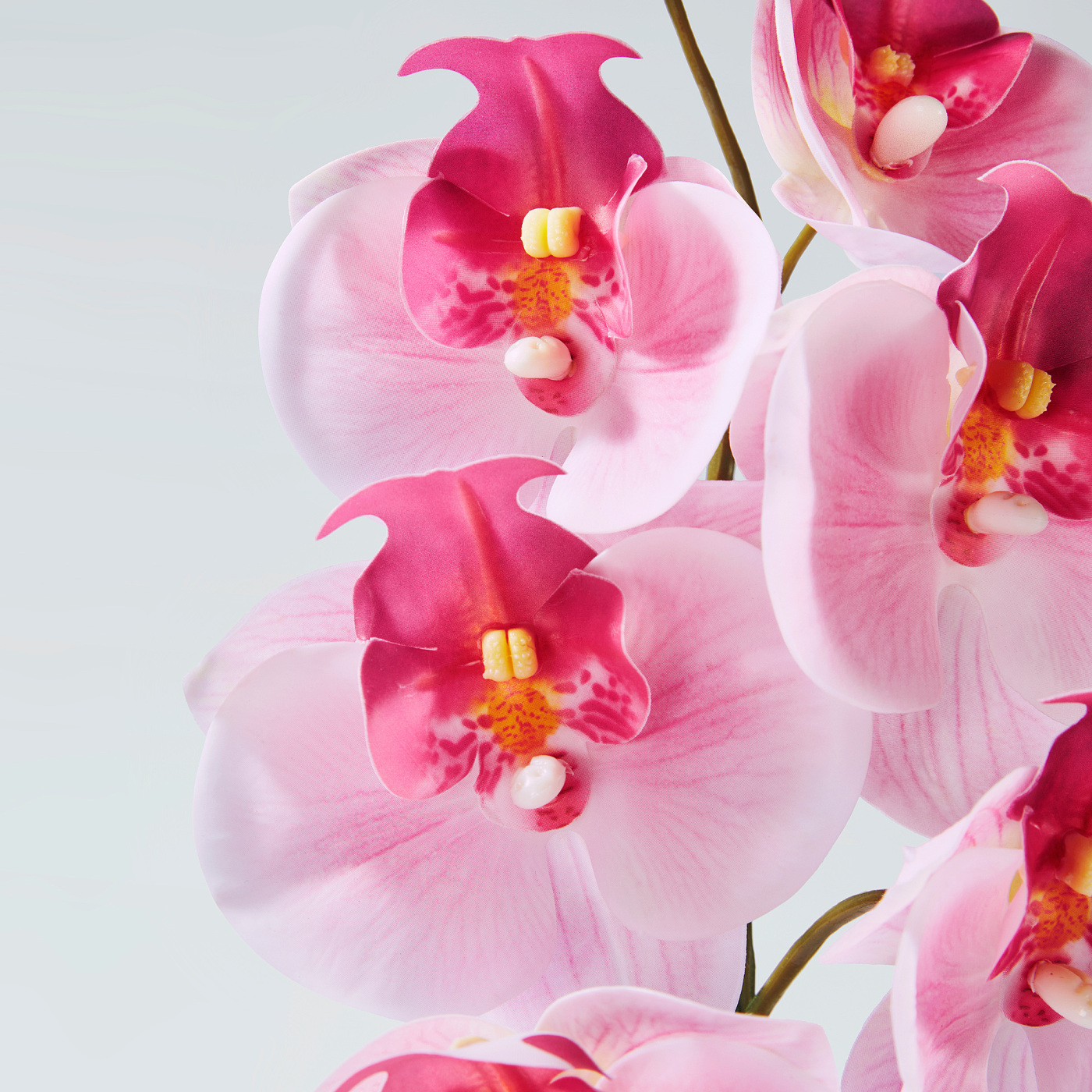 SMYCKA artificial flower in/outdoor/Orchid pink - IKEA