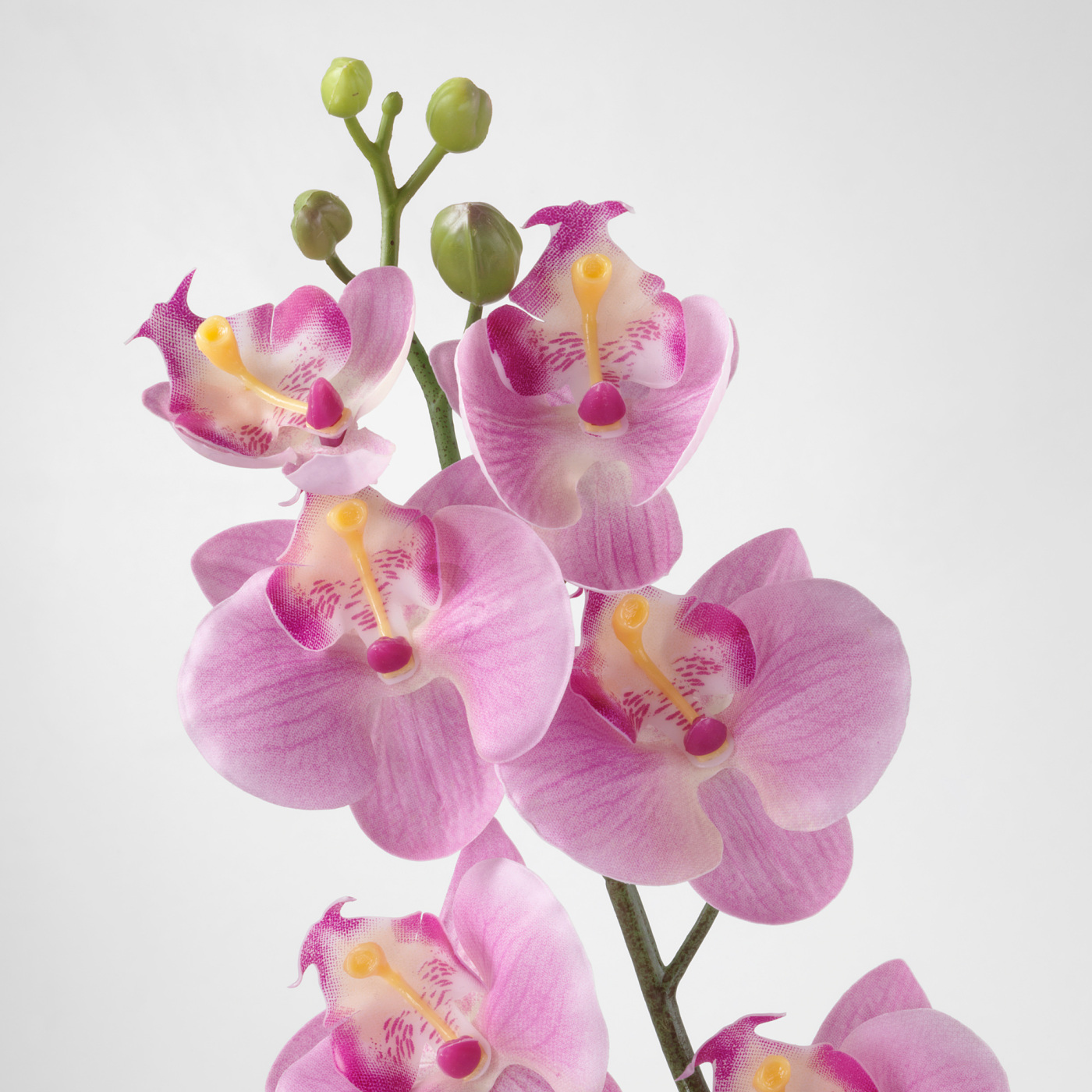 SMYCKA artificial flower Orchid/pink - IKEA