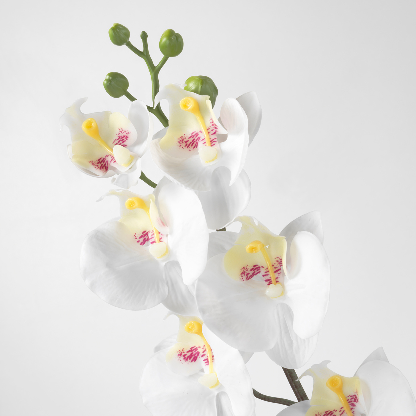 SMYCKA artificial flower Orchid/white - IKEA