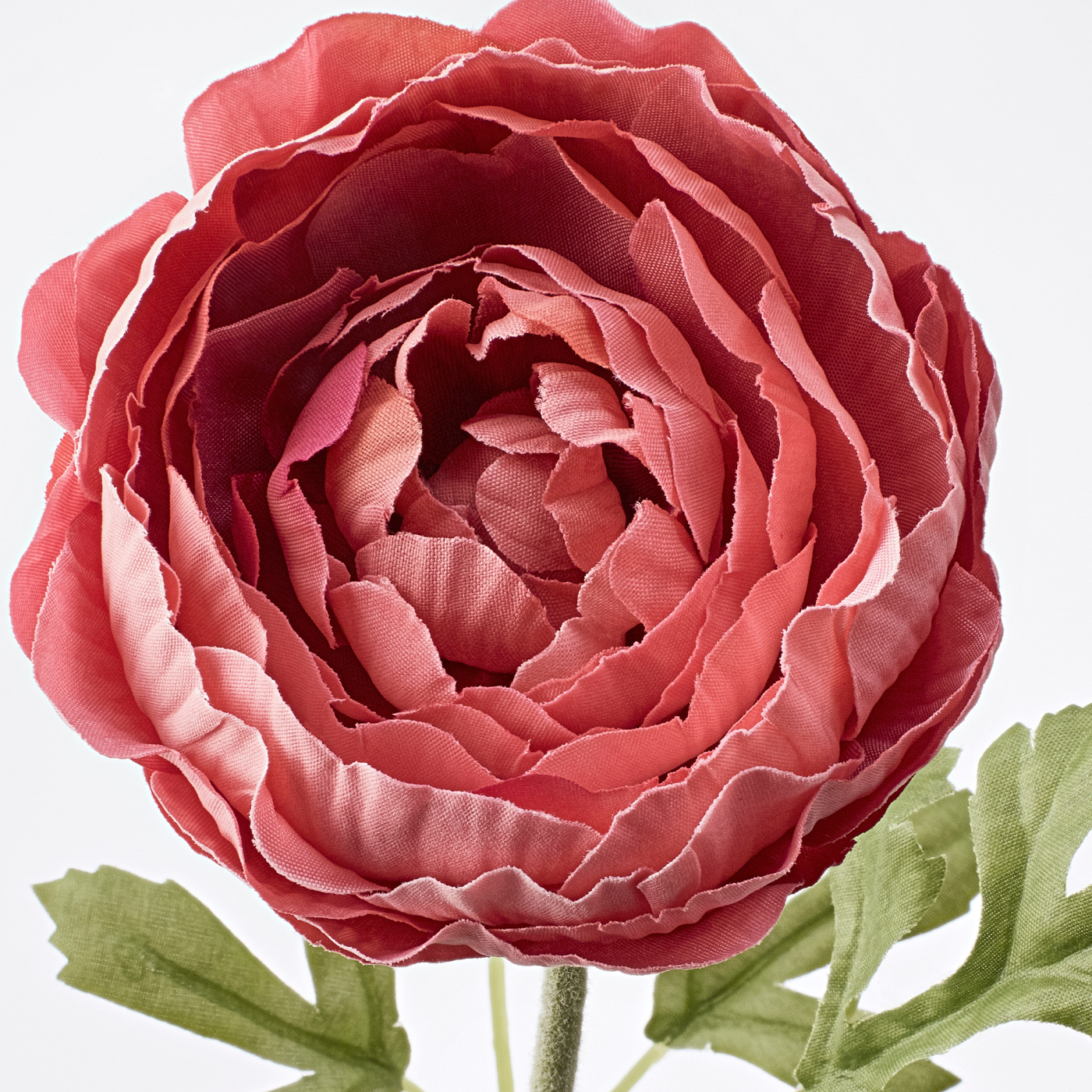 SMYCKA artificial flower Ranunculus/dark pink - IKEA