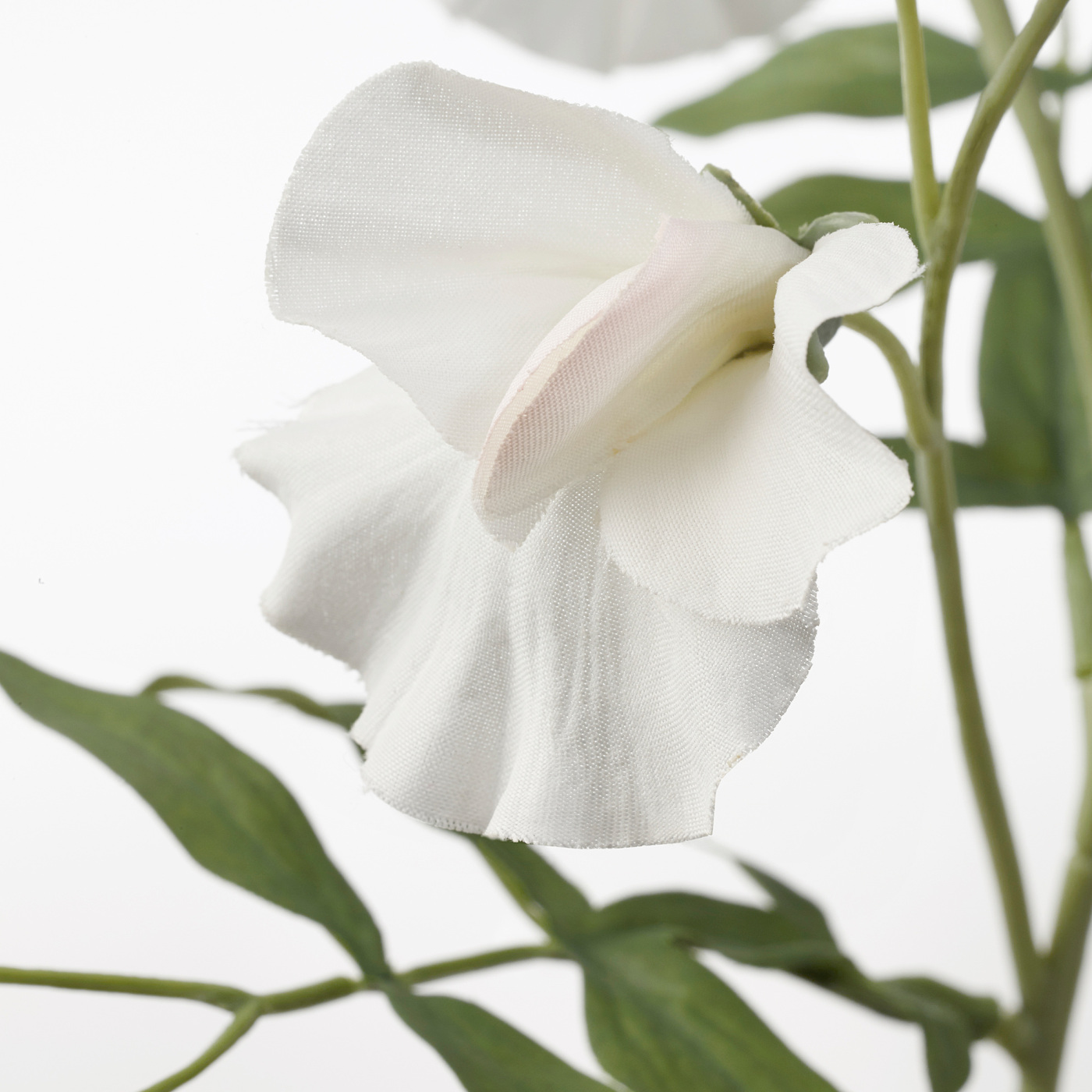 SMYCKA artificial flower Sweet pea/white - IKEA