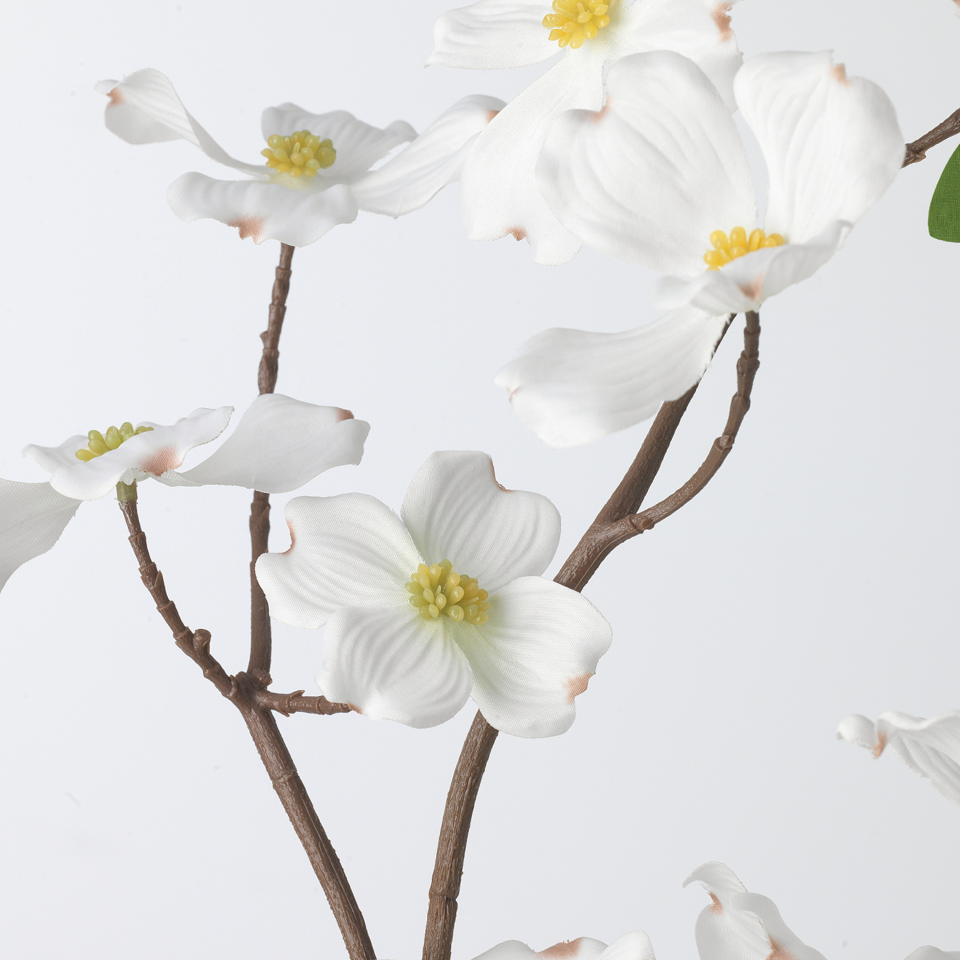 SMYCKA artificial spray in/outdoor/Dogwood white - IKEA