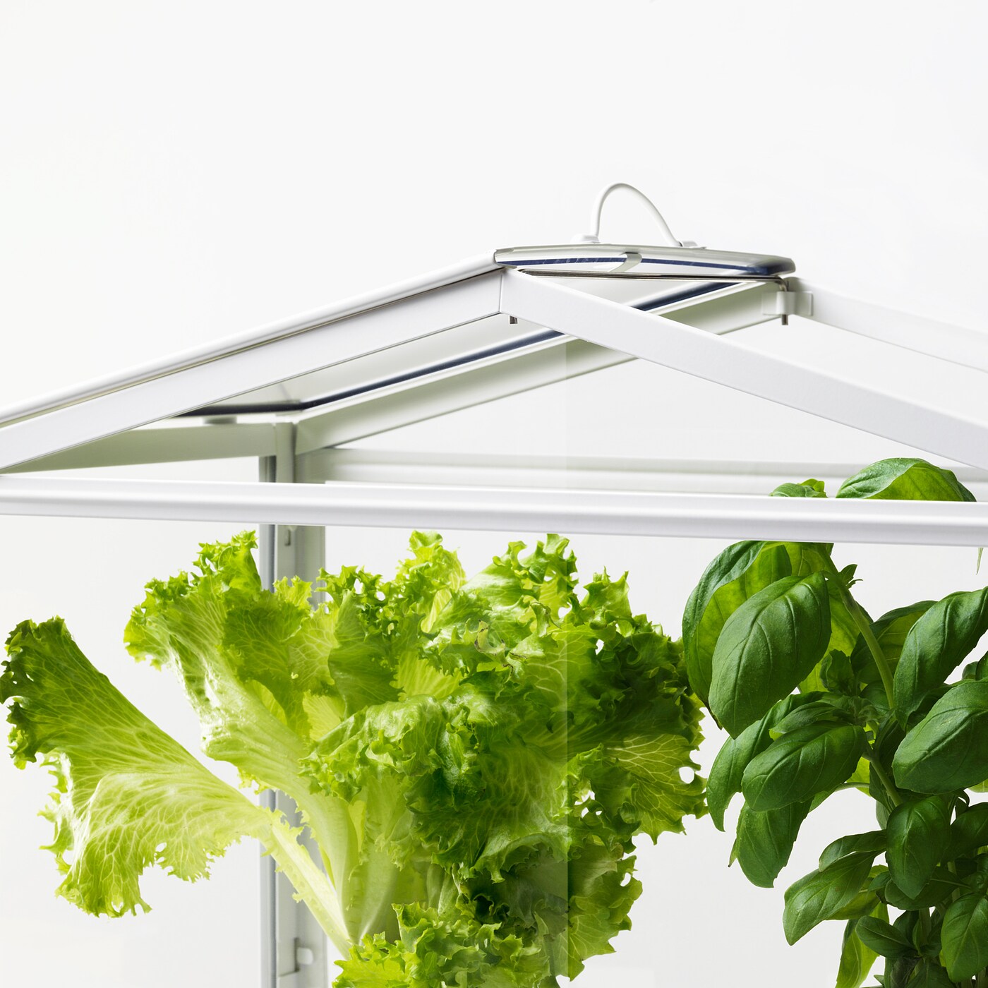 IKEA SOCKER 温室 IKEA Socker - Indoor Miniature Greenhouse | The Green Head
