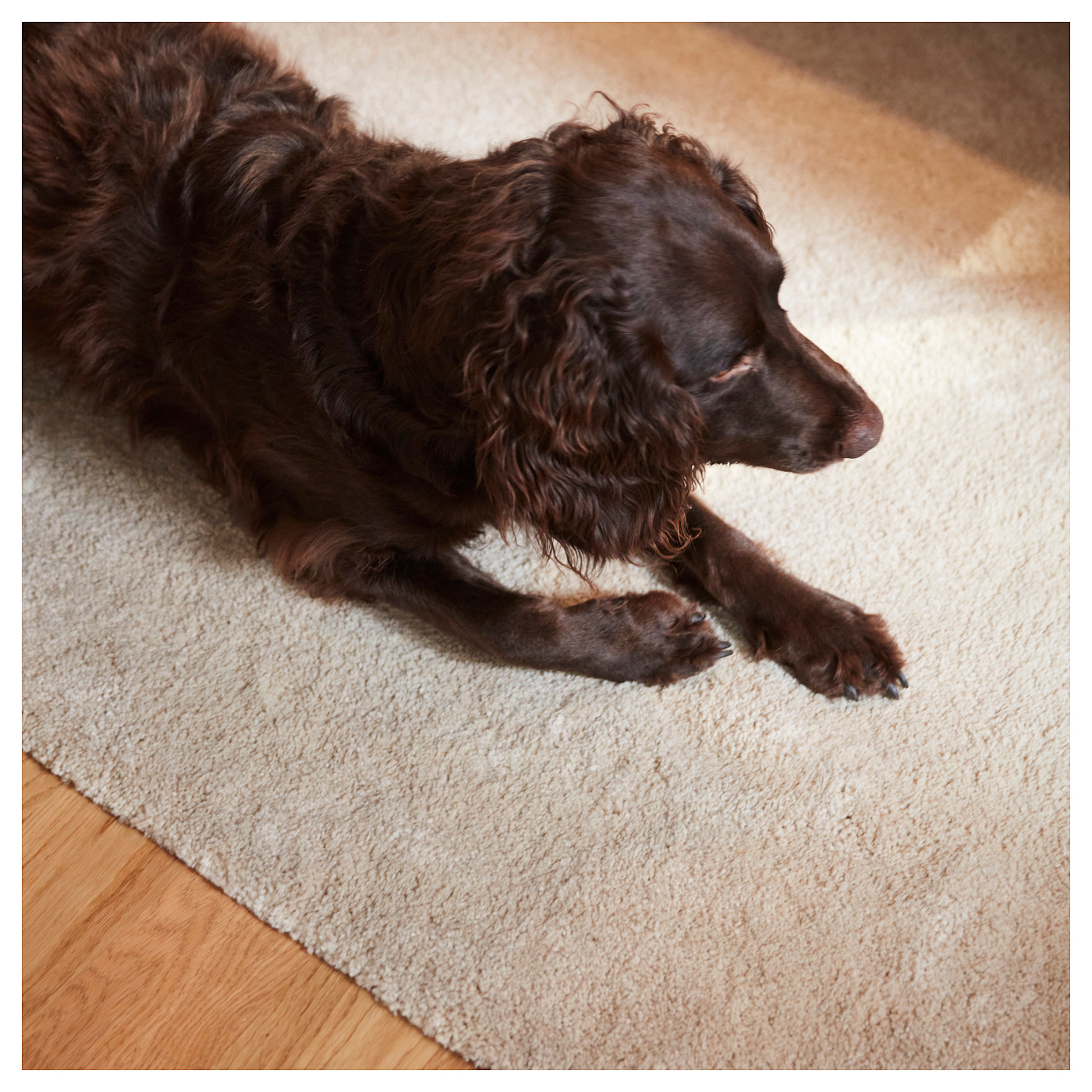 STOENSE rug, low pile medium grey - IKEA