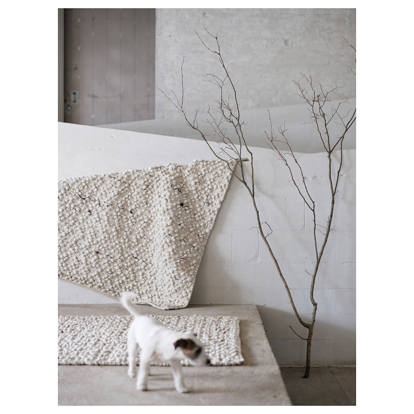 ins-image