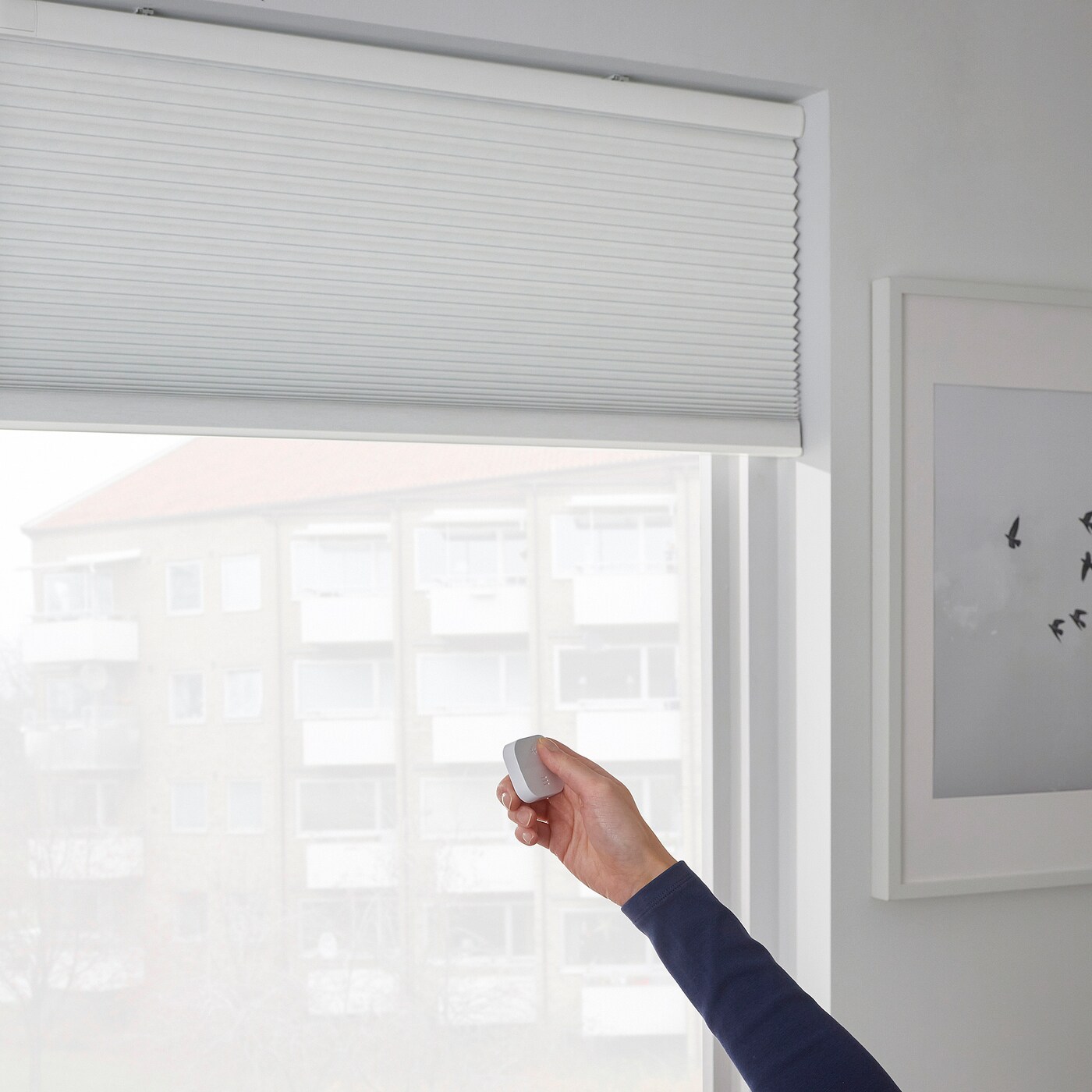 TREDANSEN block-out cellular blind smart wireless/battery
