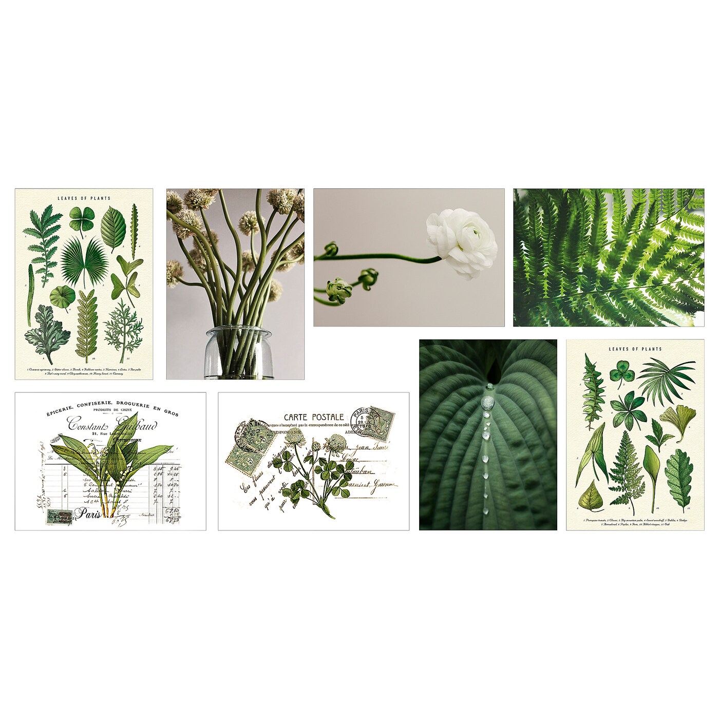 VÄXBO art card shapes from nature - IKEA