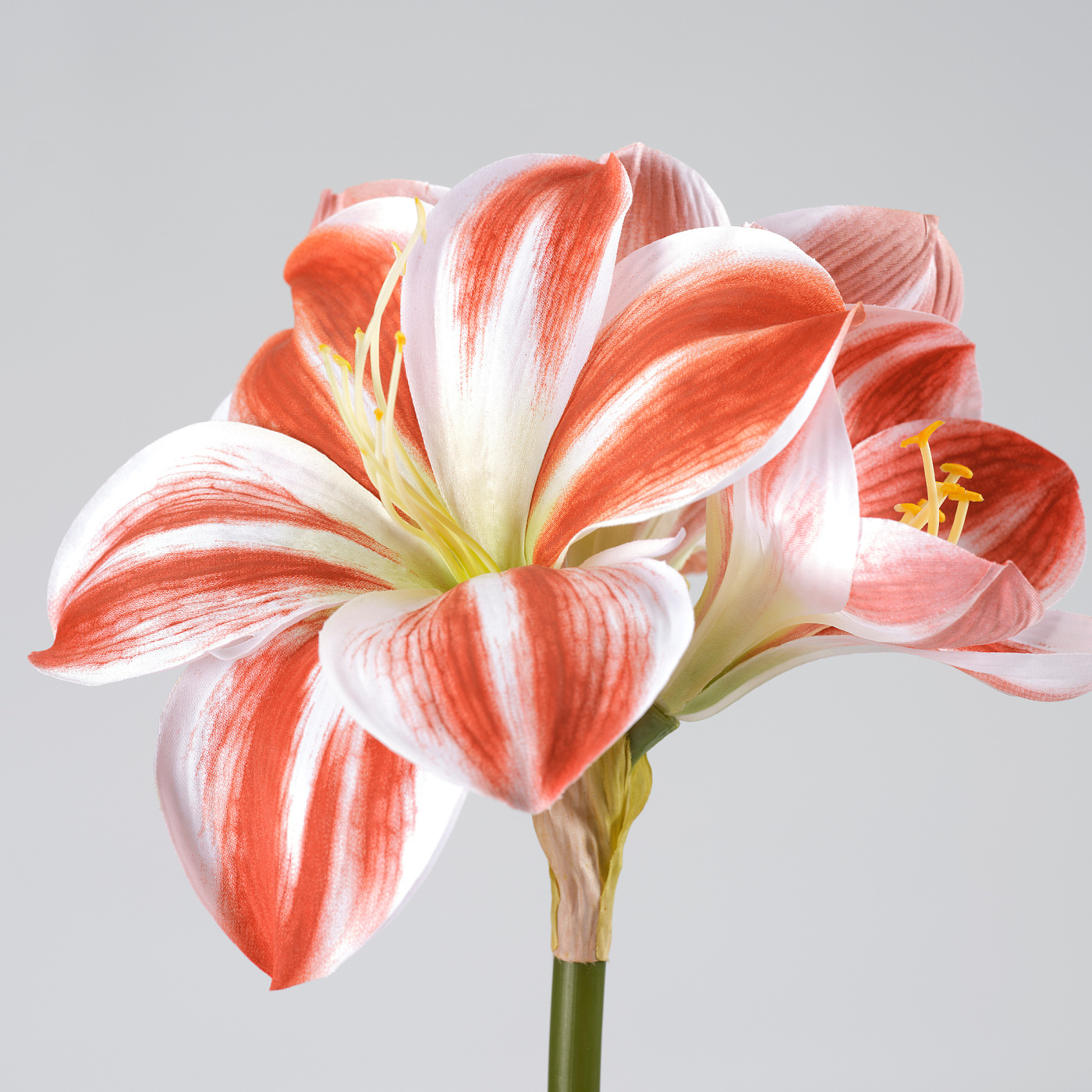 VINTERFINT artificial flower in/outdoor Amaryllis/red white - IKEA