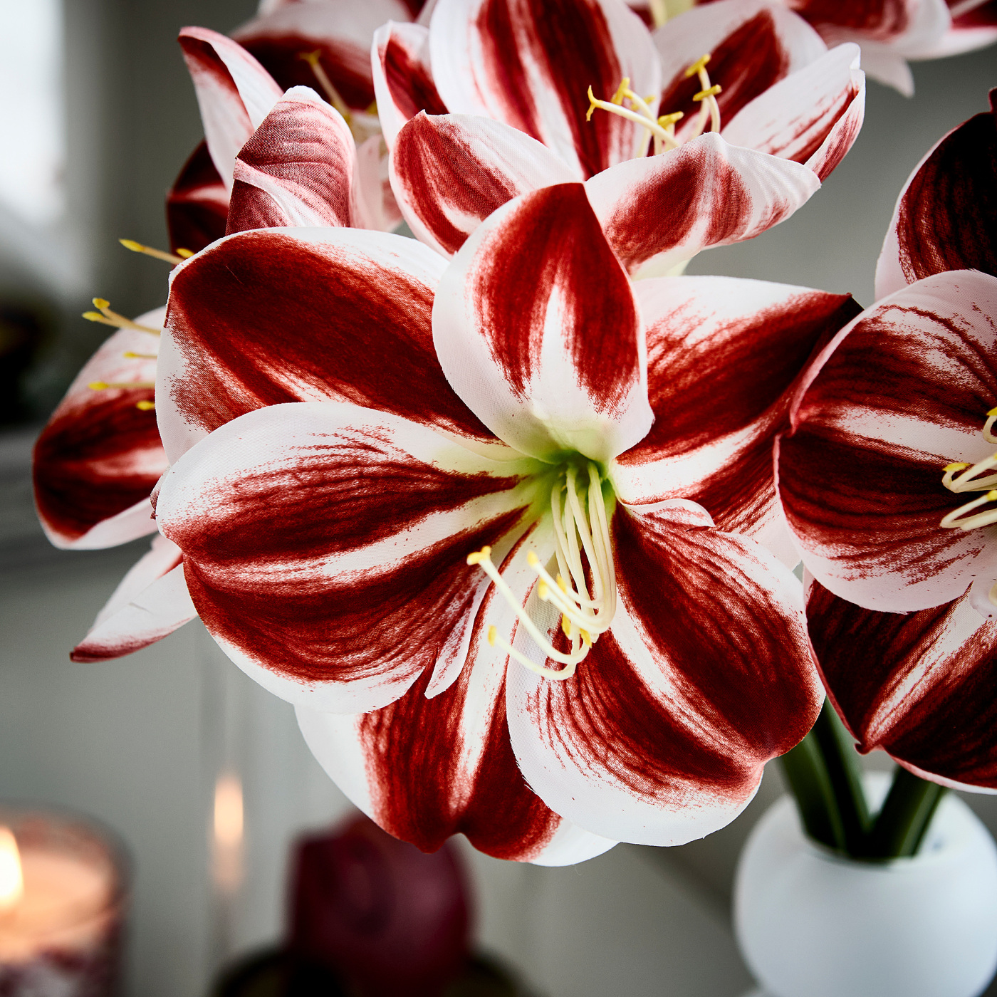 VINTERFINT artificial flower in/outdoor Amaryllis/red white - IKEA