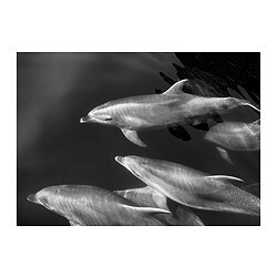 BJÖRKSTA 约纳斯塔