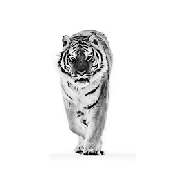 BJÖRKSTA 约纳斯塔