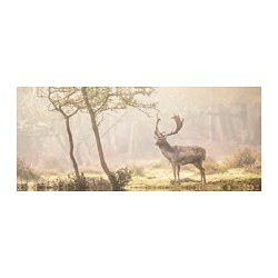 BJÖRKSTA 约纳斯塔