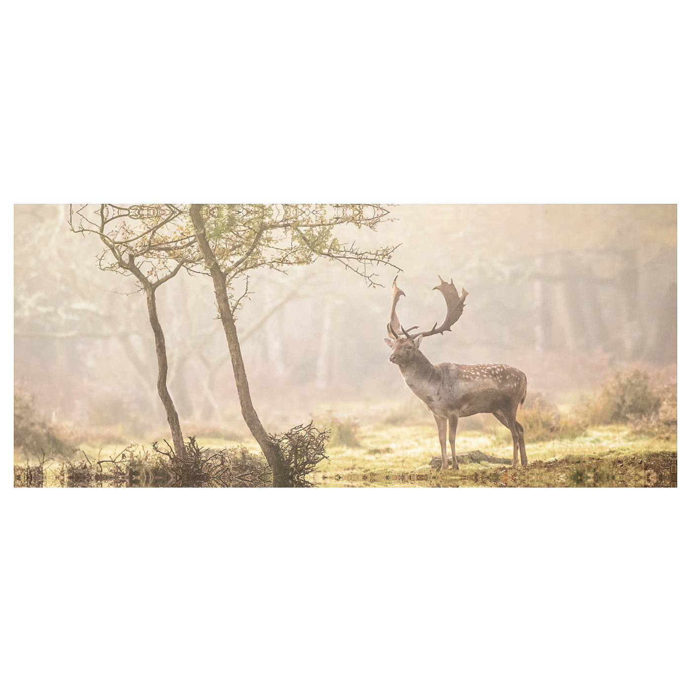 BJÖRKSTA 约纳斯塔