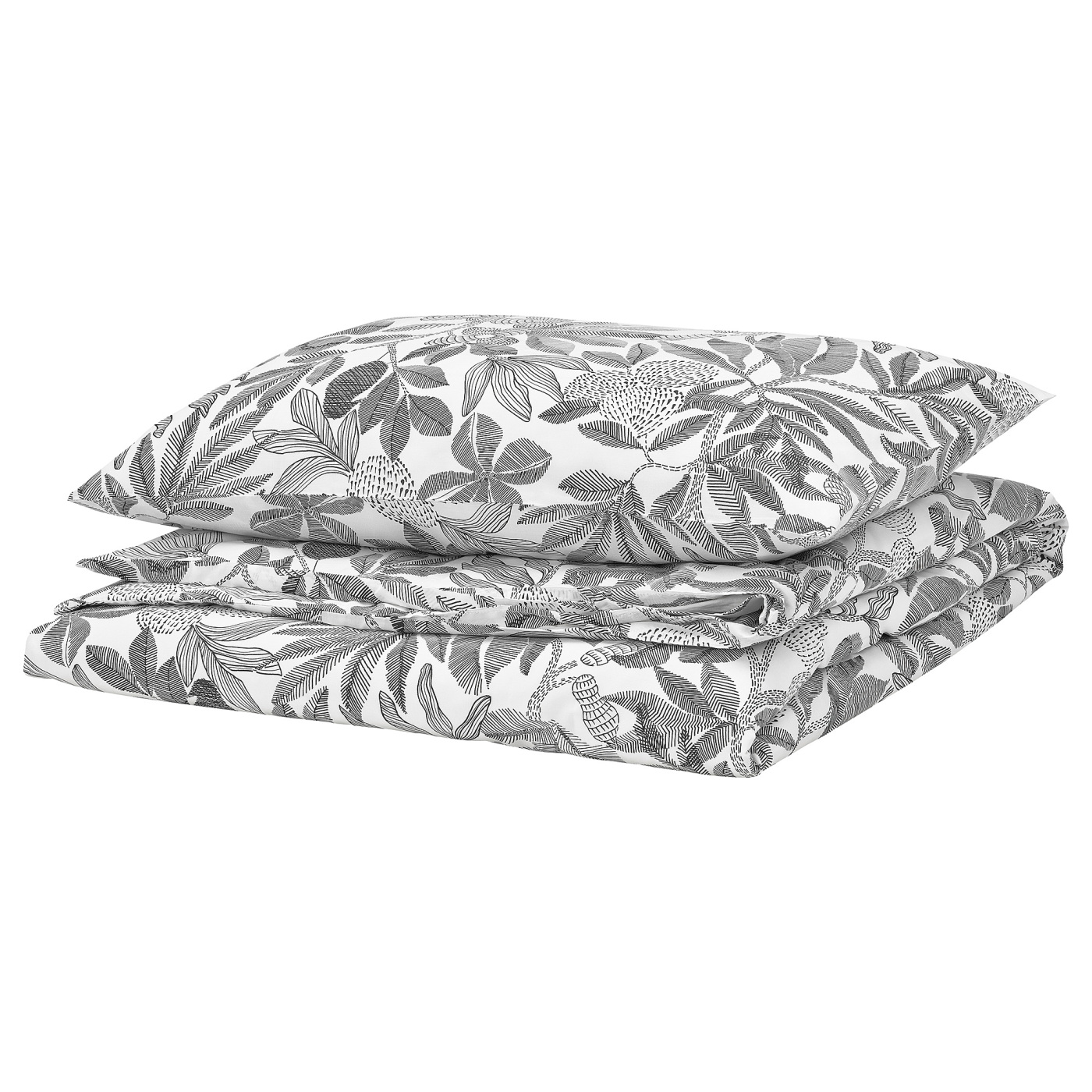 BROKDRACENA 布洛拉塞纳