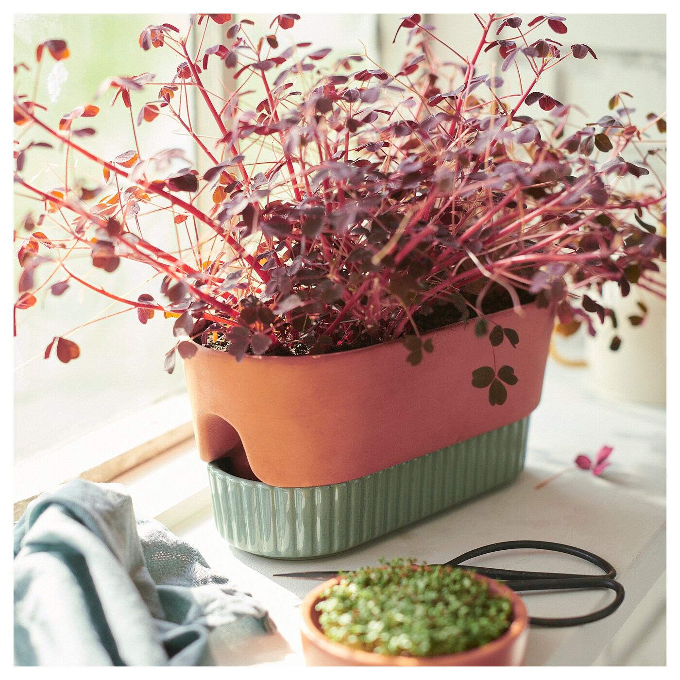 DAKSJUS 达克休斯自动浇水花盆赤陶/绿色- IKEA