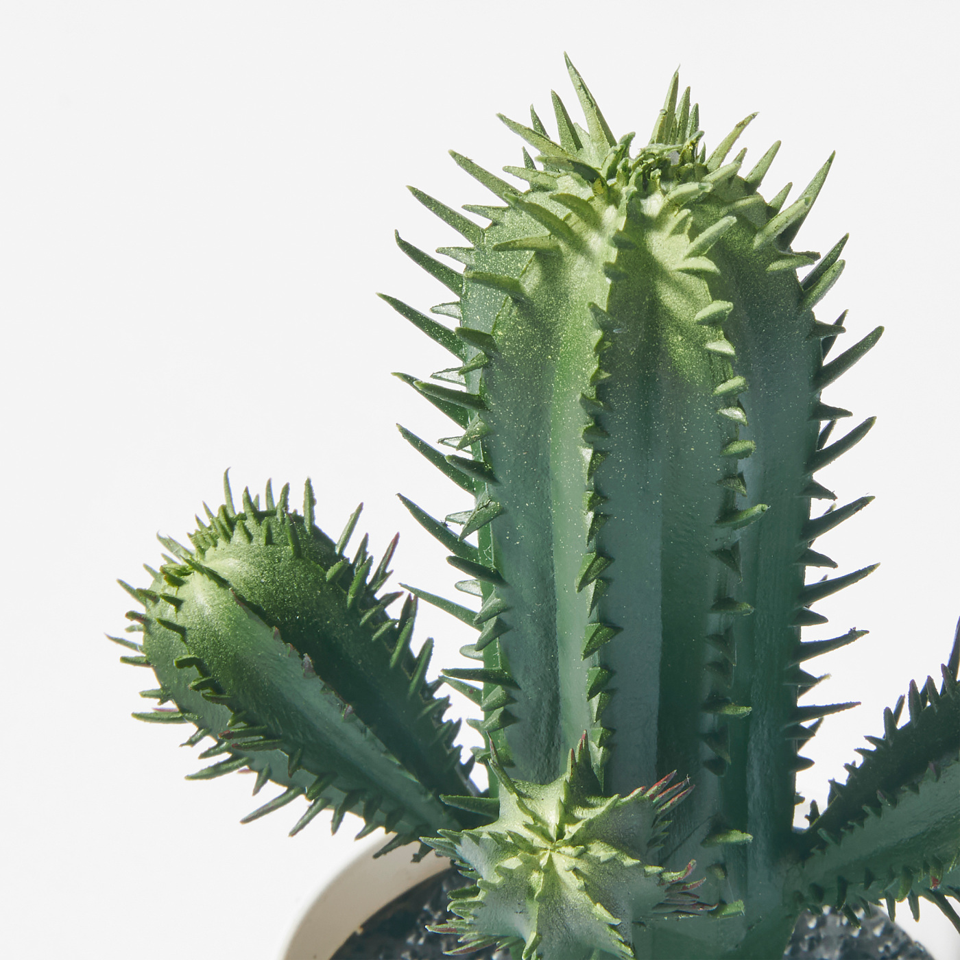 FEJKA 菲卡人造盆栽植物室内/户外仙人掌- IKEA