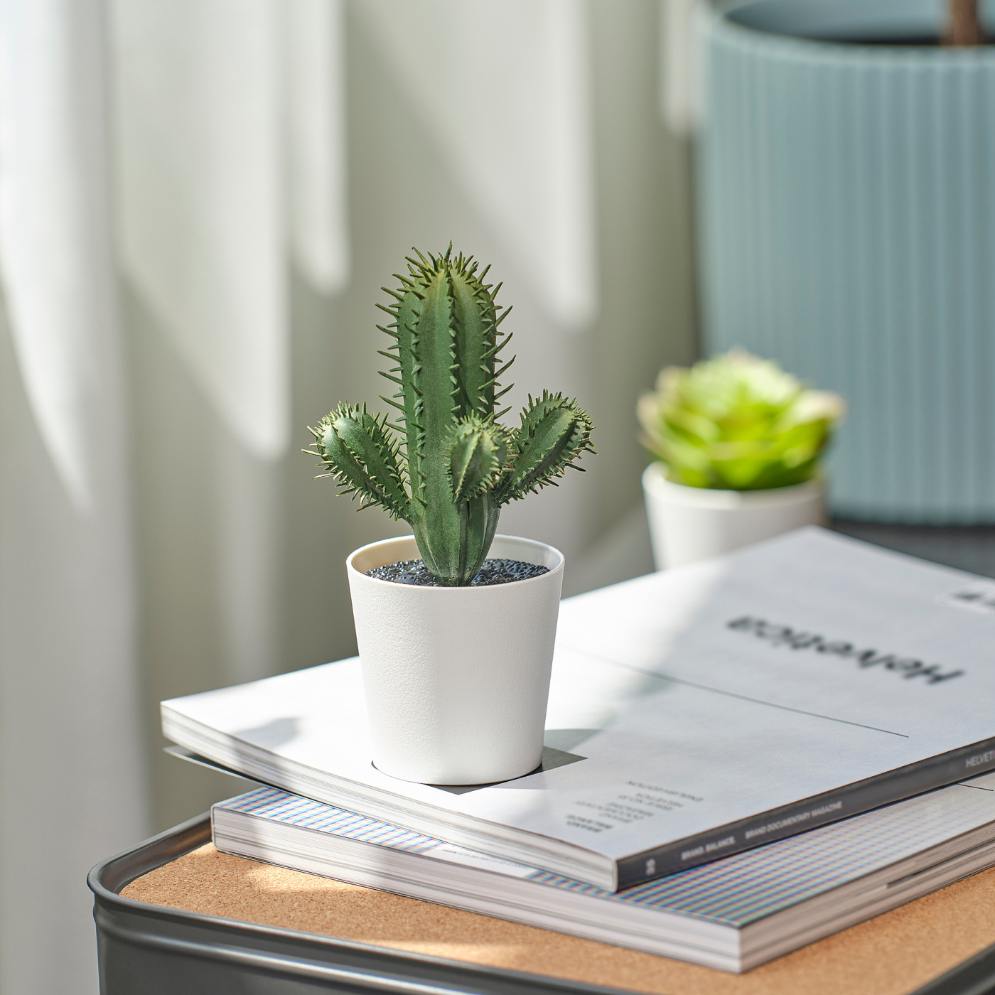 FEJKA 菲卡人造盆栽植物室内/户外仙人掌- IKEA