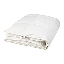 FJÄLLBRÄCKA 菲亚蕾