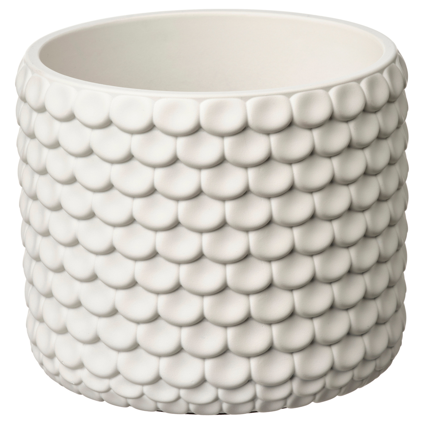 GLACIÄRBJÖRN 格拉西比约