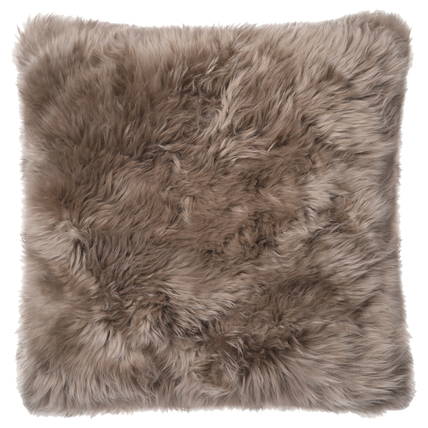 KRÅKKRASSING 克洛卡辛