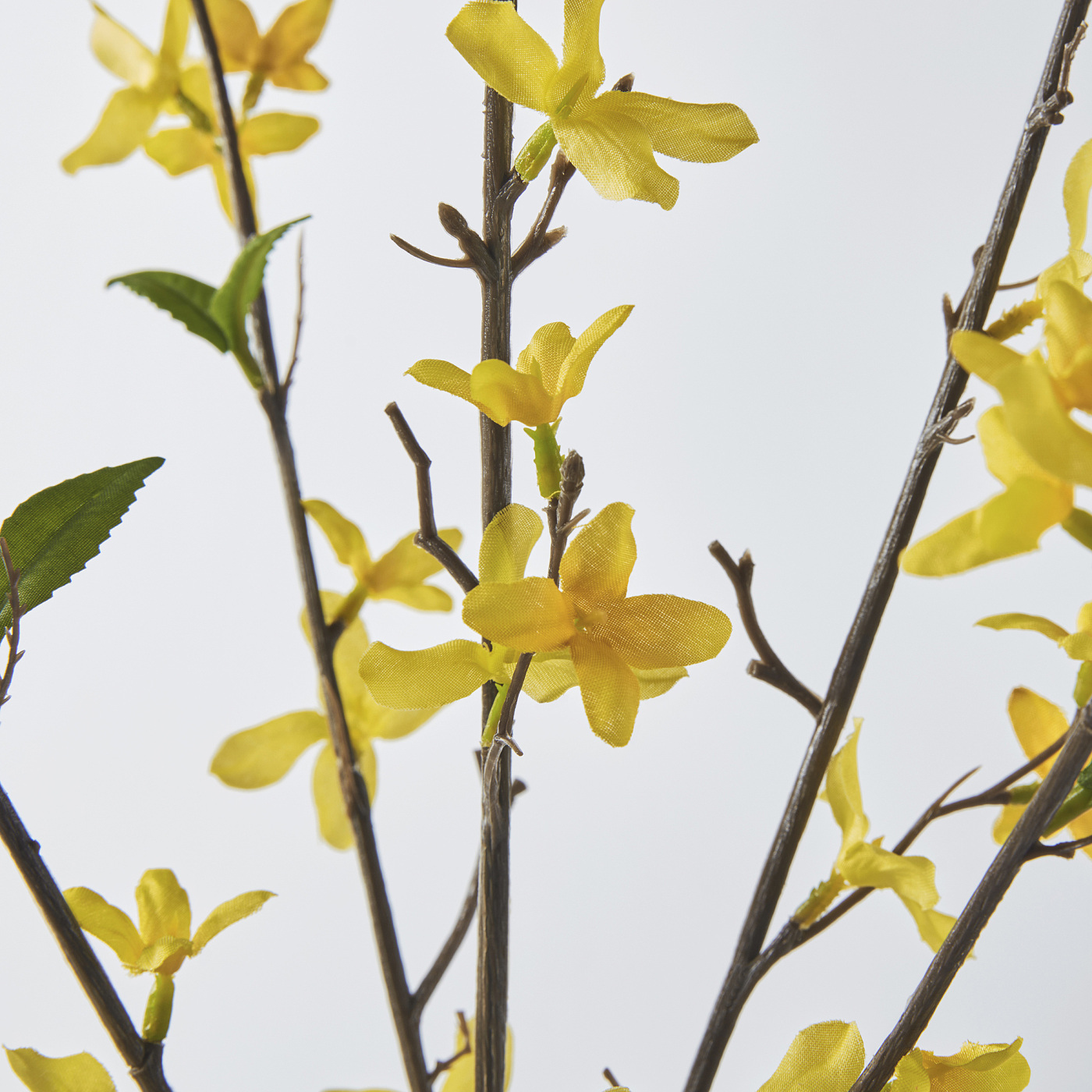 花美人■訪問着　枝菊　金彩　逸品　未使用　zy797 SMYCKA IKEA - 正絹 逸品 Fitness