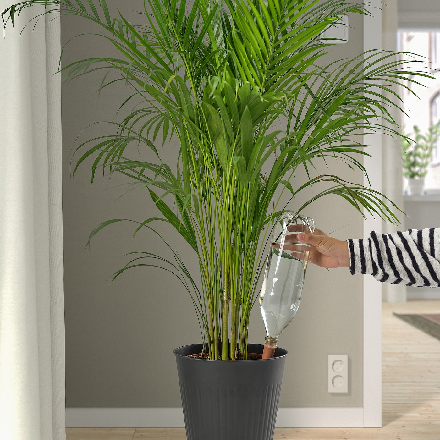 SVÄMSKOG 斯万斯古自动浇水插件赤陶/透明- IKEA