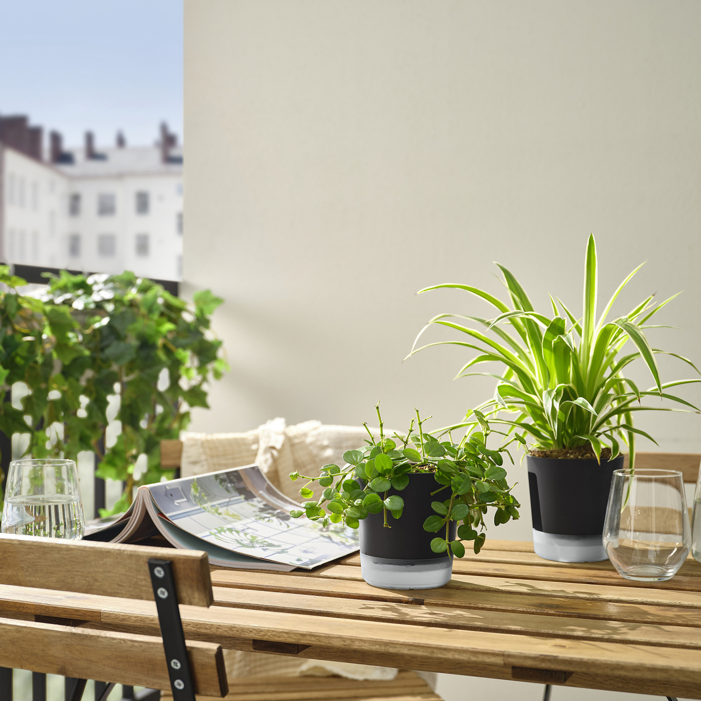 VÅRDTRÄD 沃德特拉自动浇水花盆室内/户外透明/煤黑色- IKEA