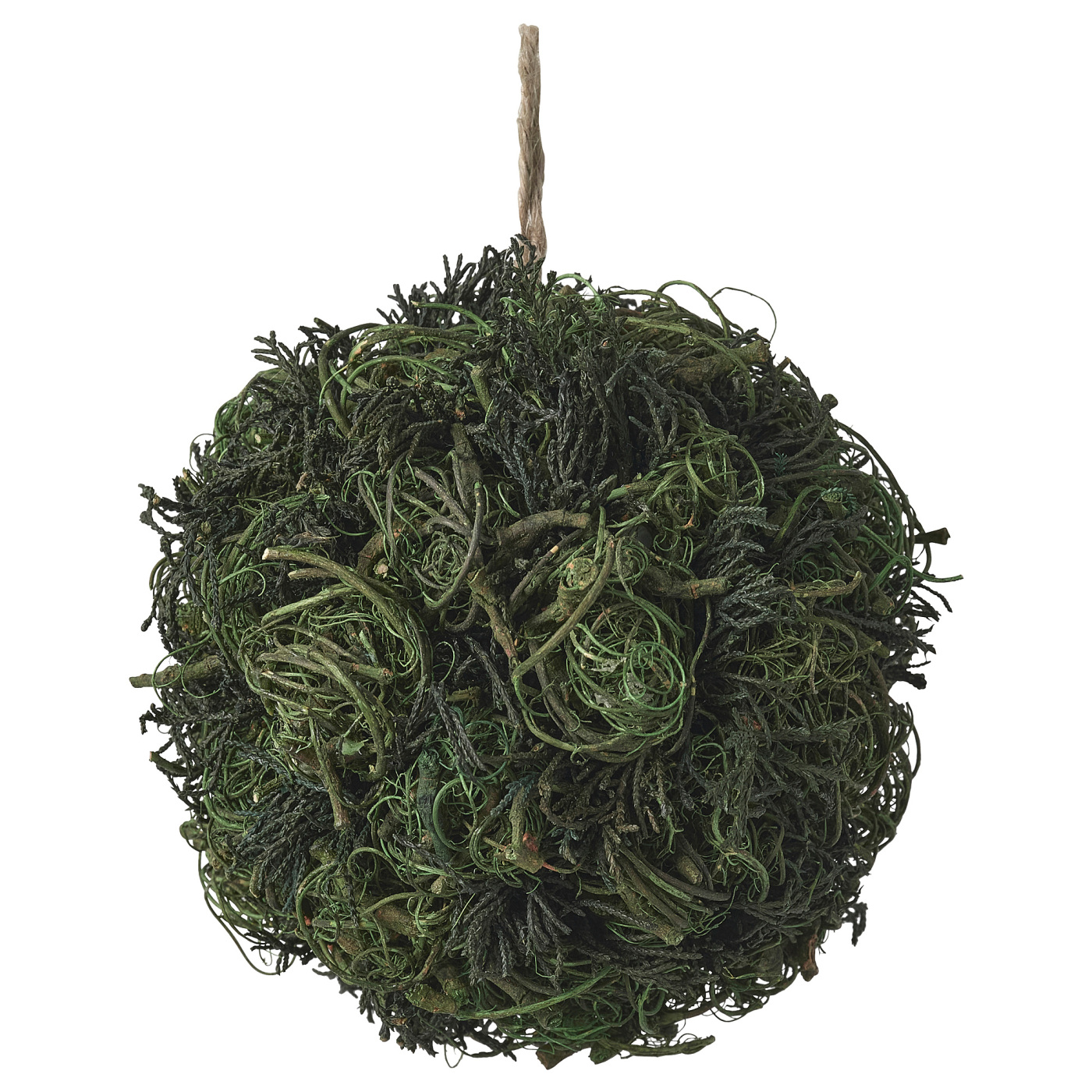 VINTER 2021 温特 2021