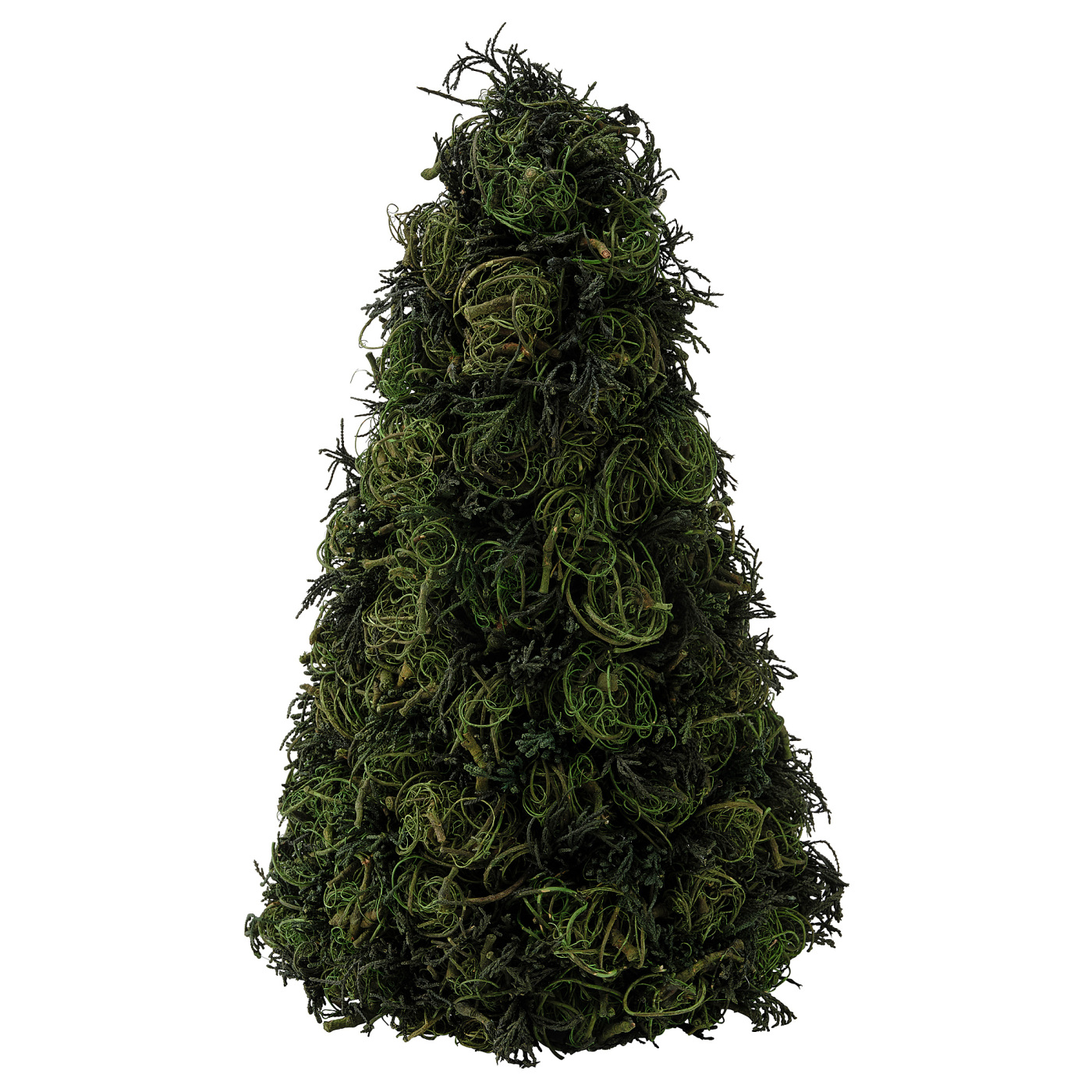 VINTER 2021 温特 2021