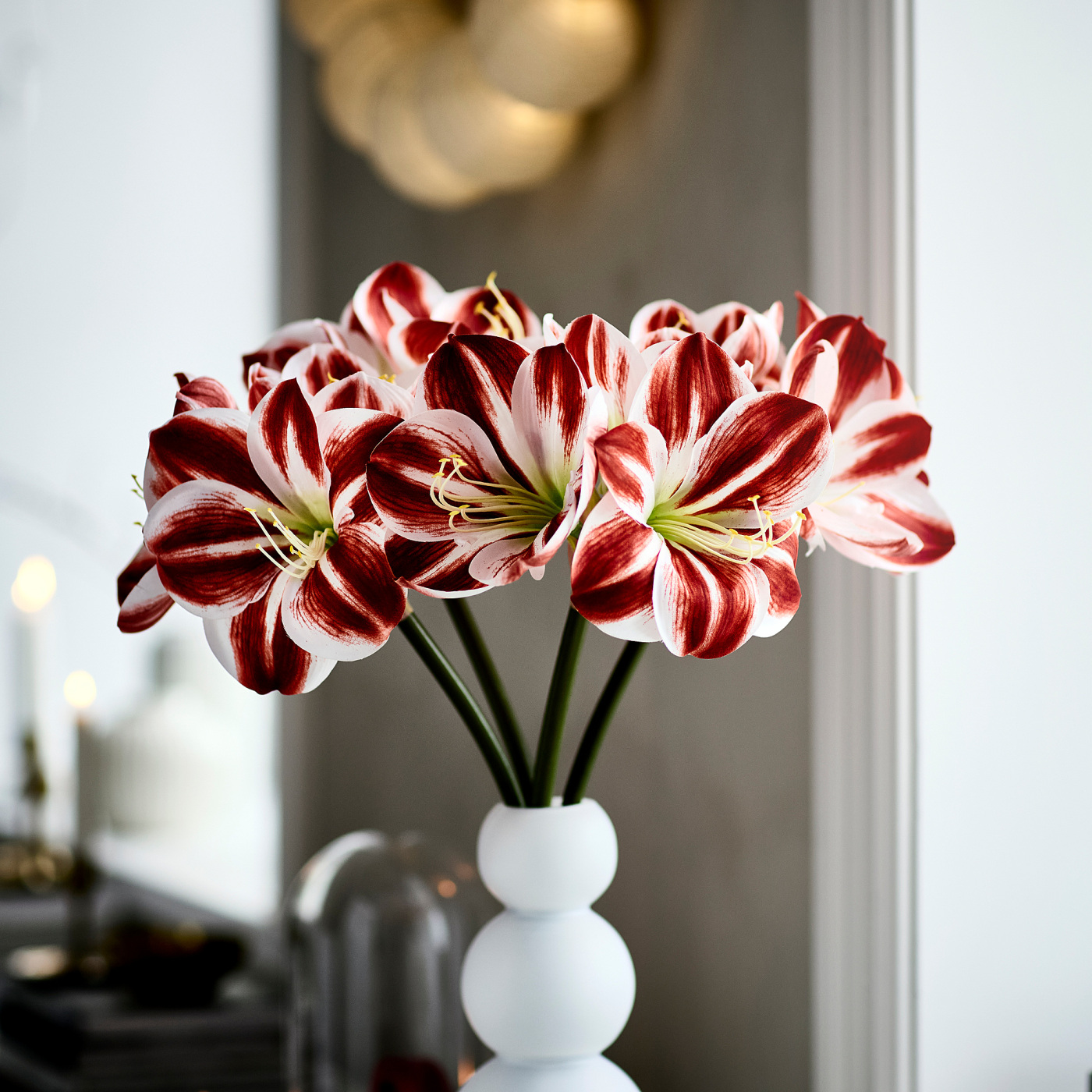 VINTERFINT 云芬特人造花室内/户外宫人草/红色白色- IKEA