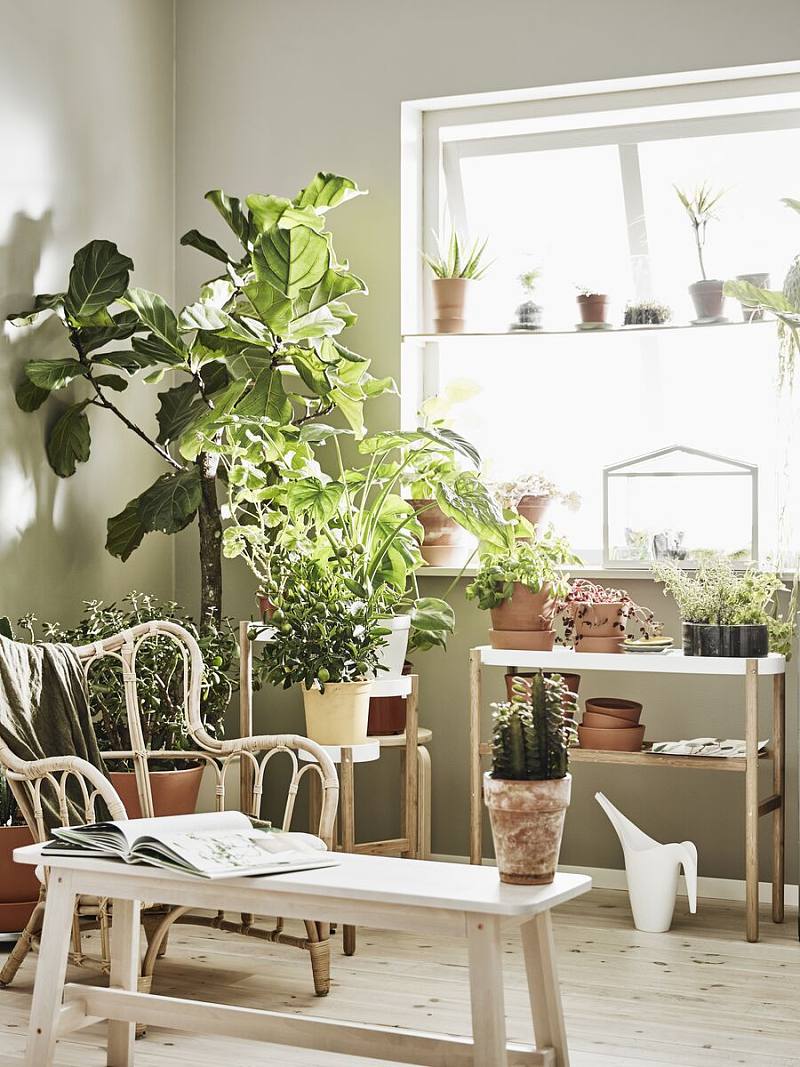 ASKHOLMEN plant stand acacia - IKEA
