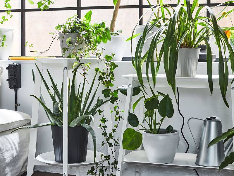 ASKHOLMEN plant stand acacia - IKEA
