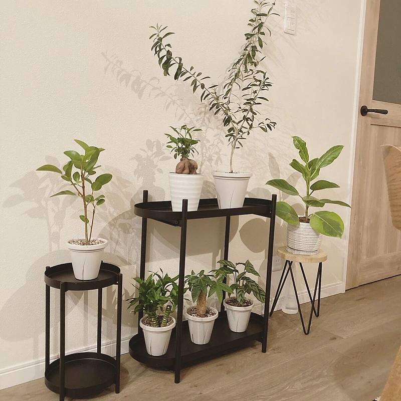 【NARUPON】IKEA ASKHOLMEN プラントスタンド ASKHOLMEN plant stand acacia - IKEA