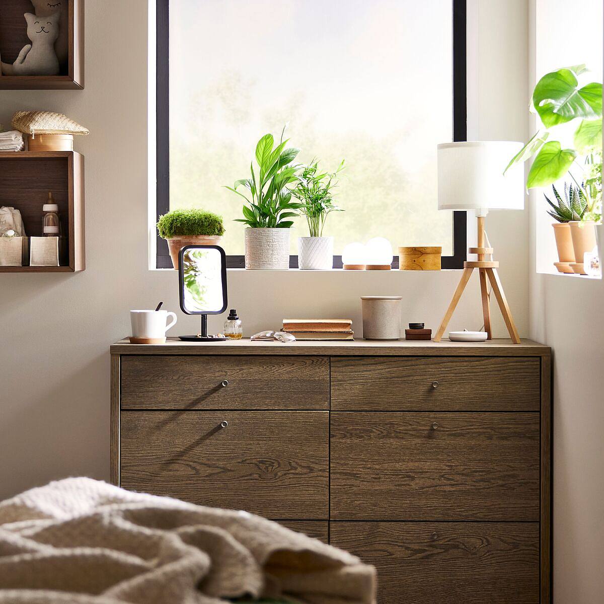 ins-image