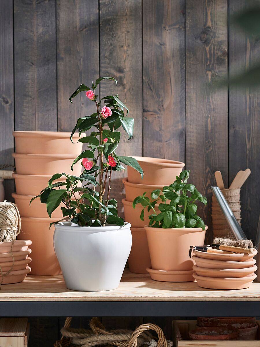 MUSKOTBLOMMA plant pot with saucer in/outdoor terracotta - IKEA