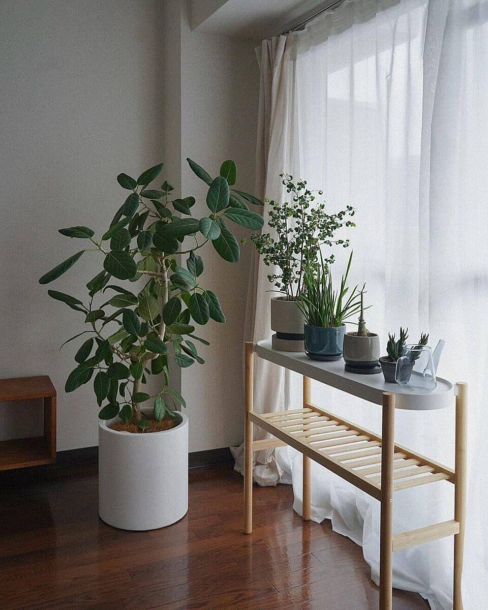ASKHOLMEN plant stand acacia - IKEA