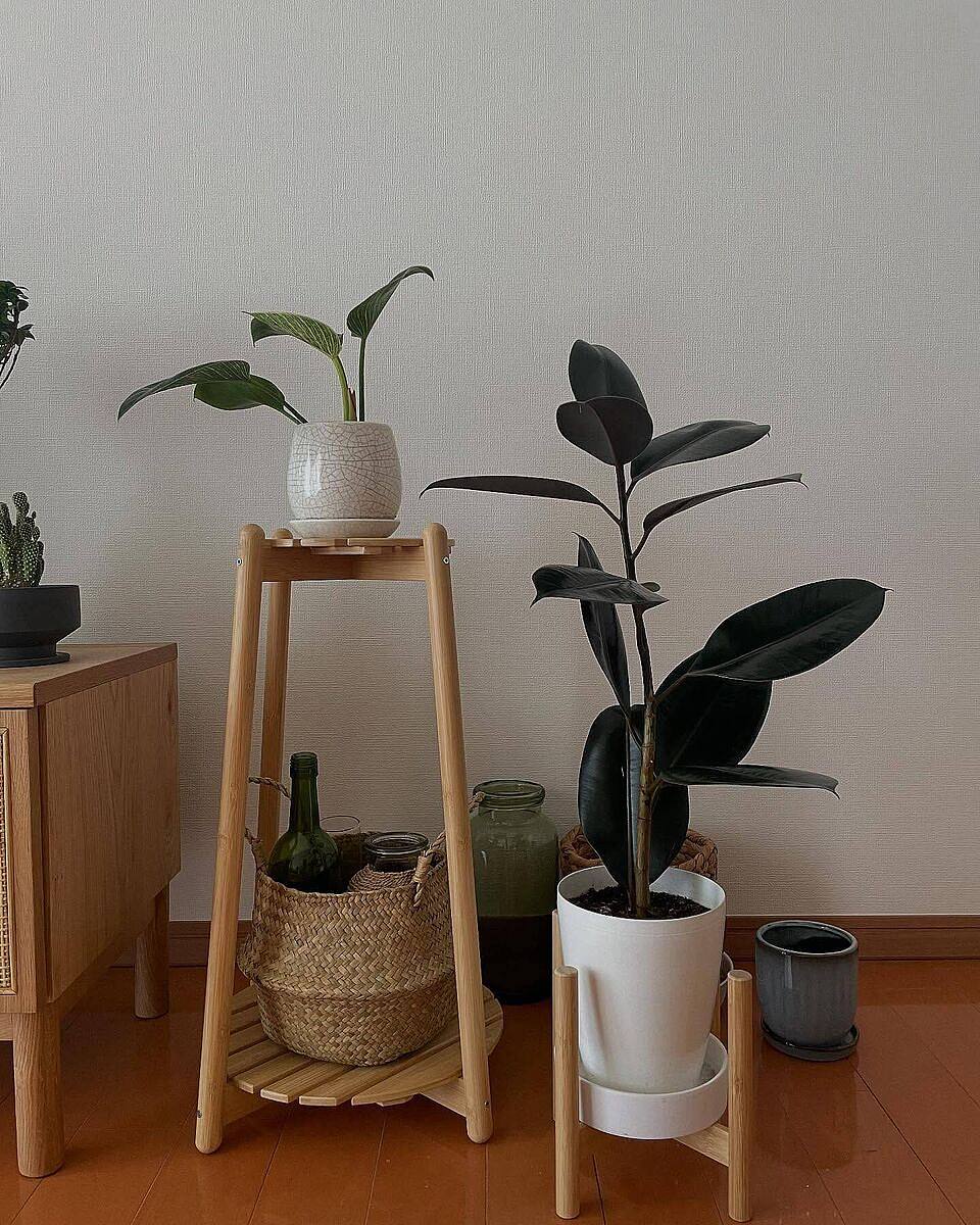 ASKHOLMEN plant stand acacia - IKEA