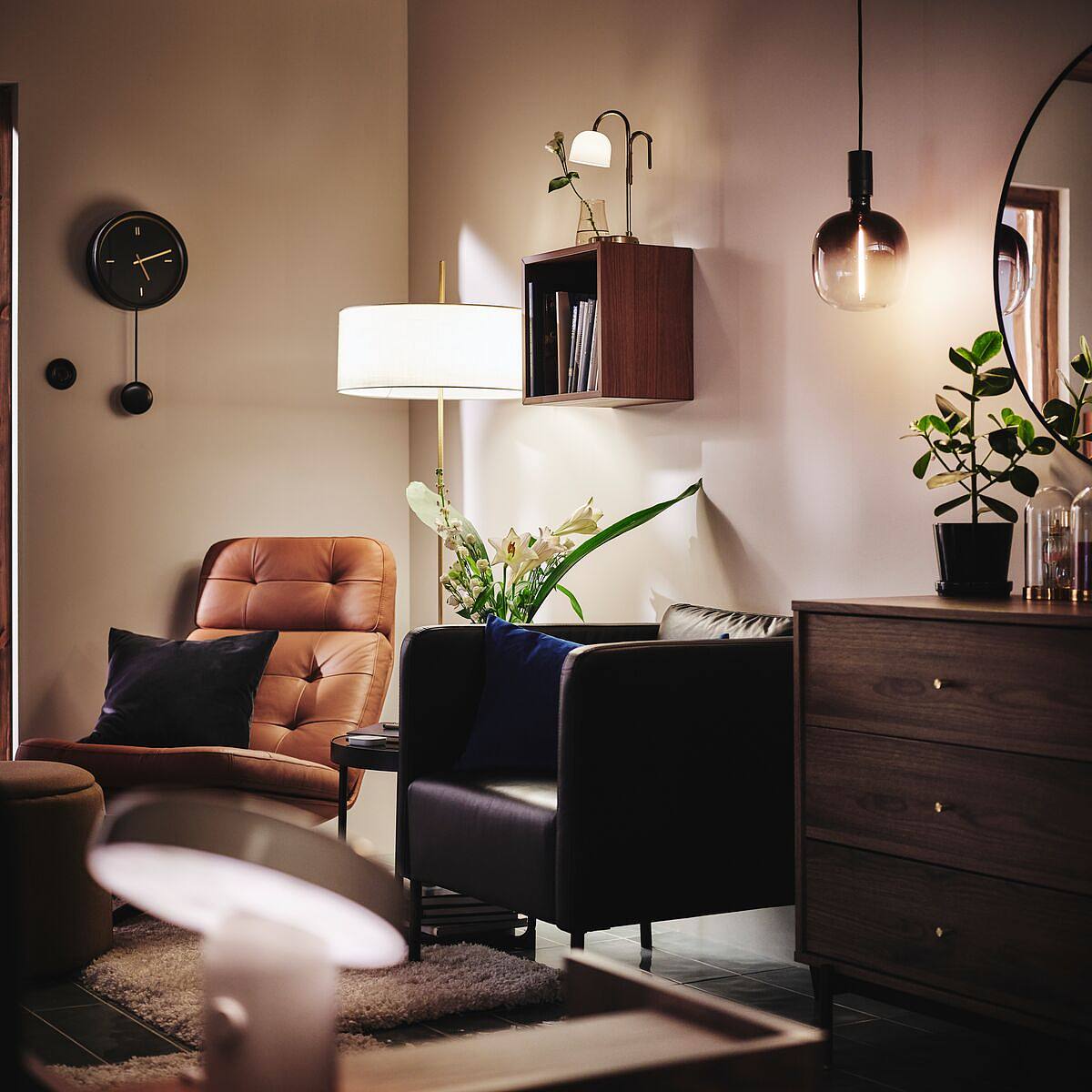 ins-image