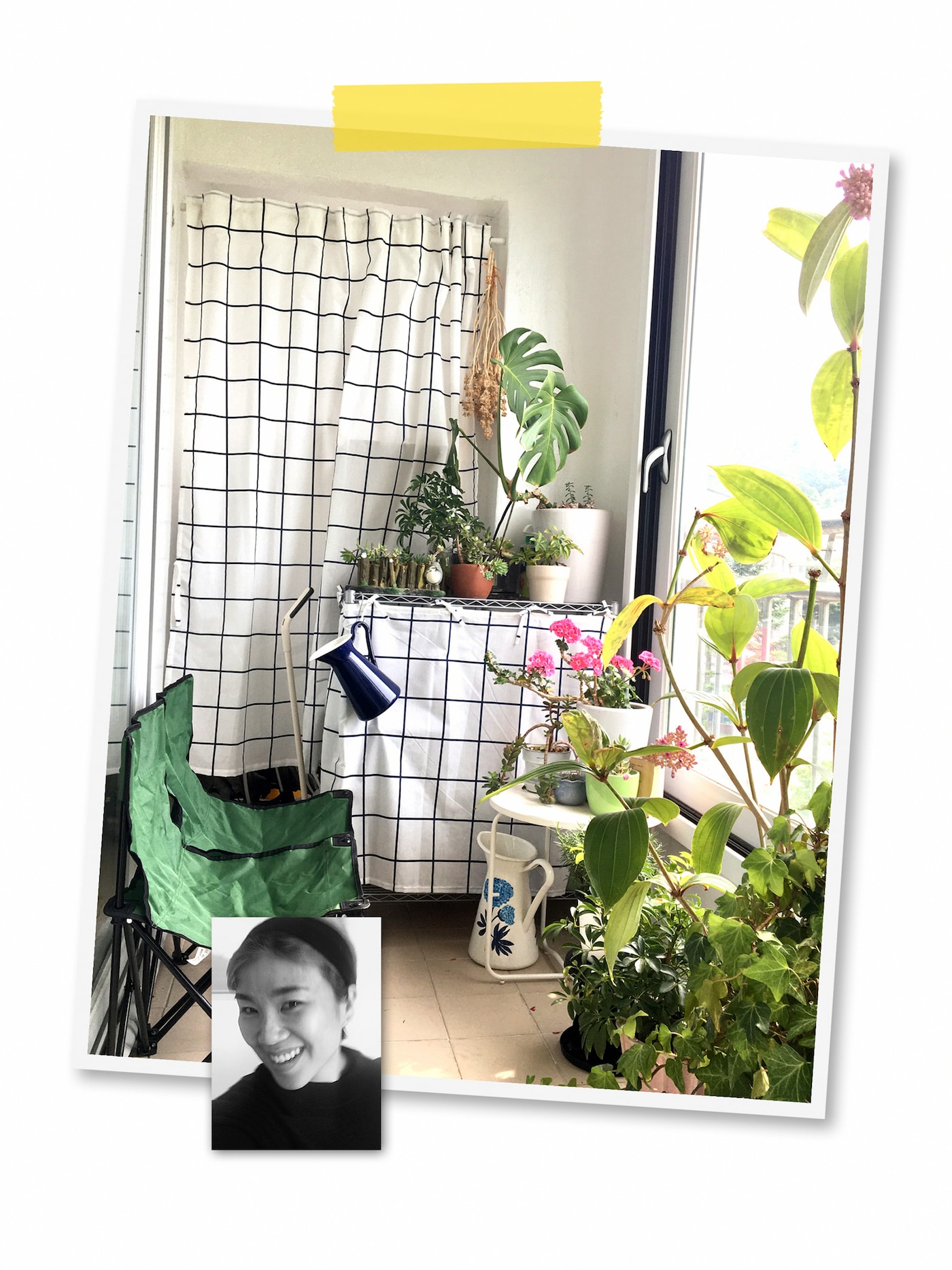两幅照片组成的拼图：一间房间里放着满满当当的绿植，有图案造型的布艺帘子挡住了几处搁架，以及一位宜家员工的人像写真。