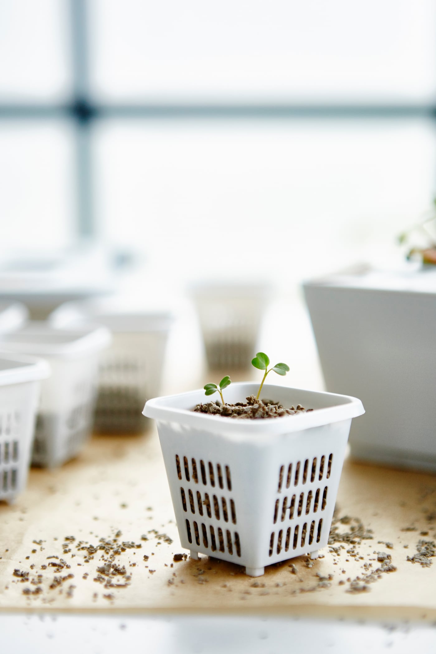 IKEA　VÄXER　ヴェクセル　18個セット　イケア IKEA】お手頃価格の栽培用LEDライト【VÄXER ヴェクセル​​​】【生産終了