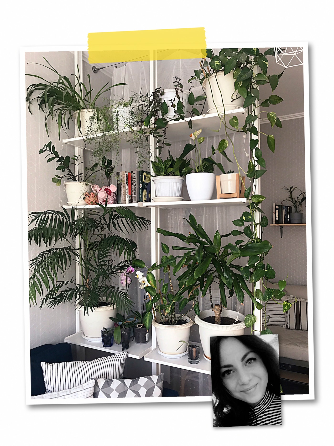 A two-image collage: a room-dividing, floor-to-ceiling ELVARLI unit with green plants, and an image of an IKEA co-worker.