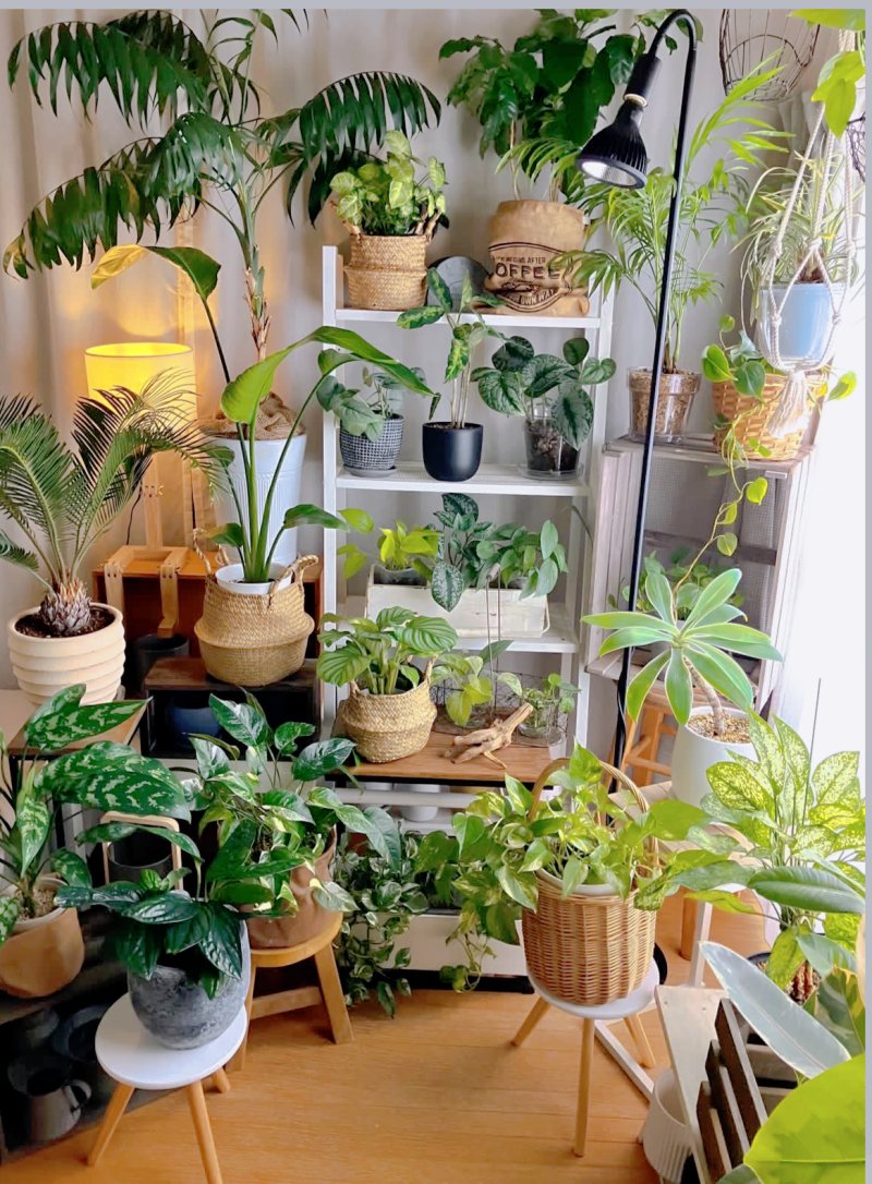 JÄTTESTA shelving unit white/light bamboo - IKEA