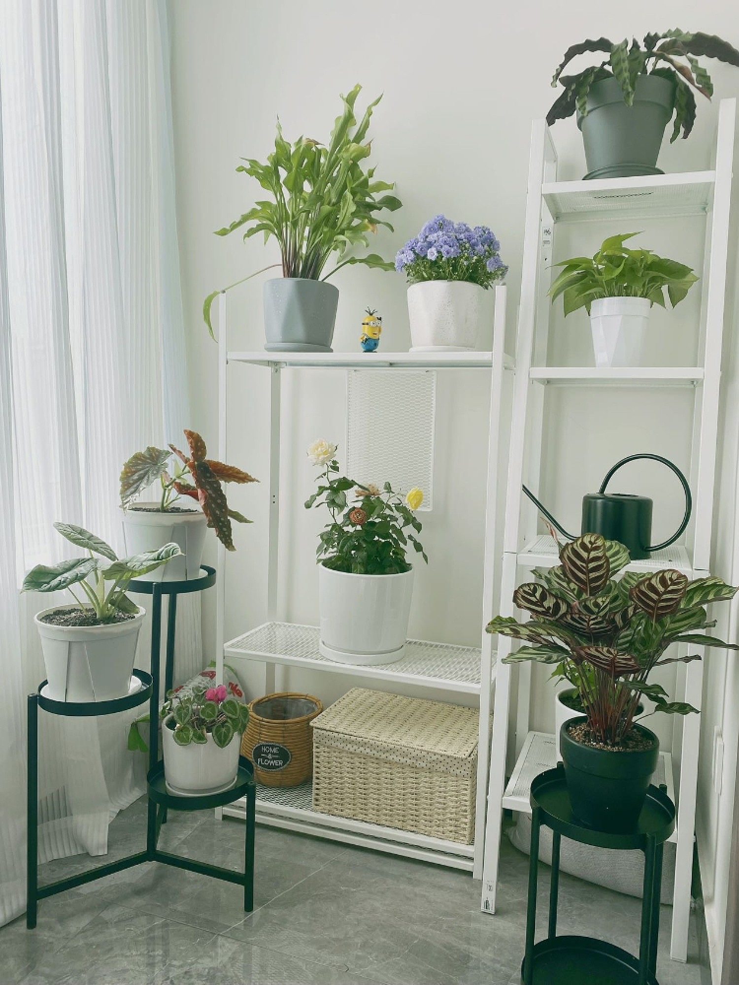 【NARUPON】IKEA ASKHOLMEN プラントスタンド ASKHOLMEN plant stand acacia - IKEA